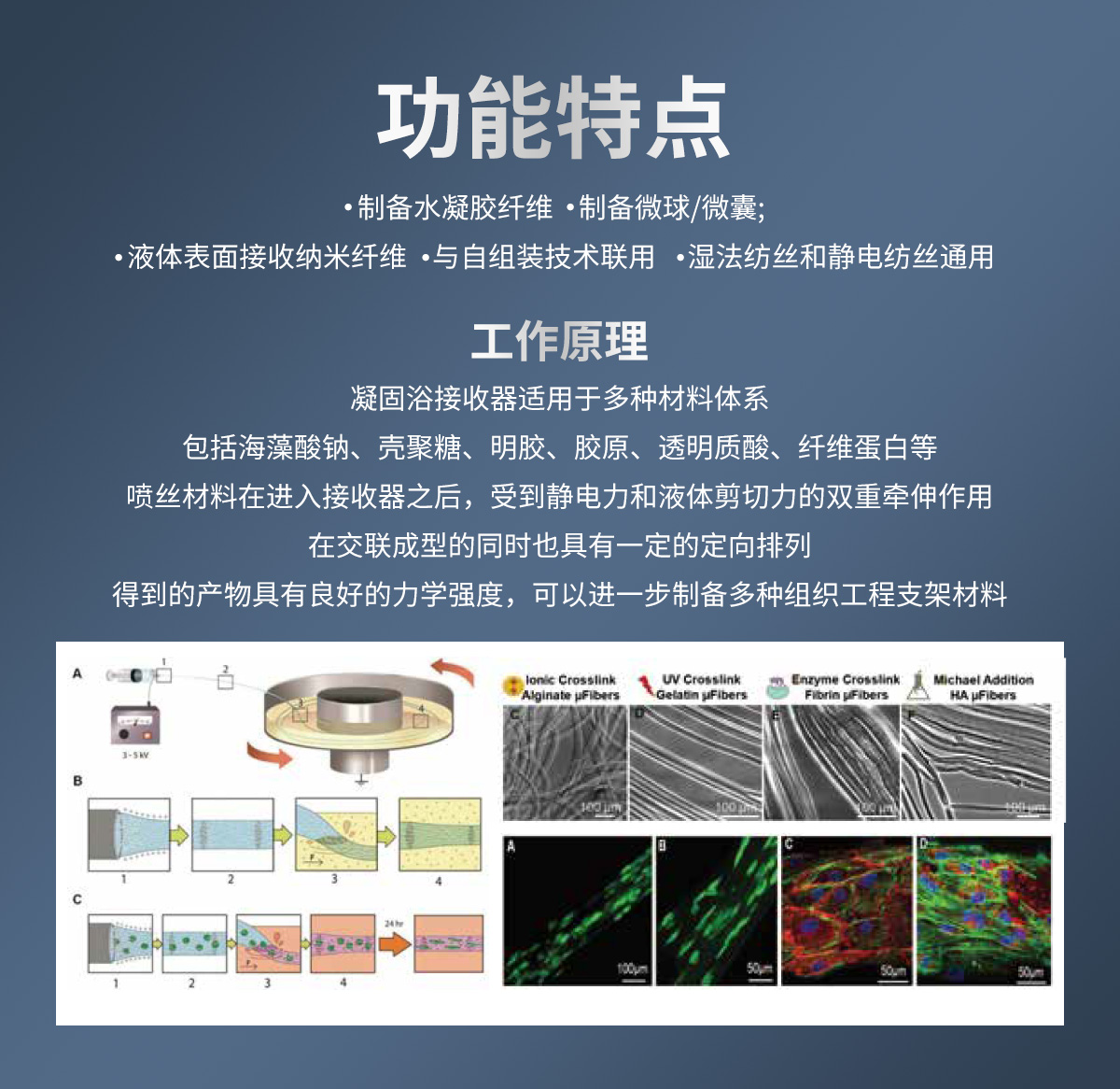 详情2.jpg