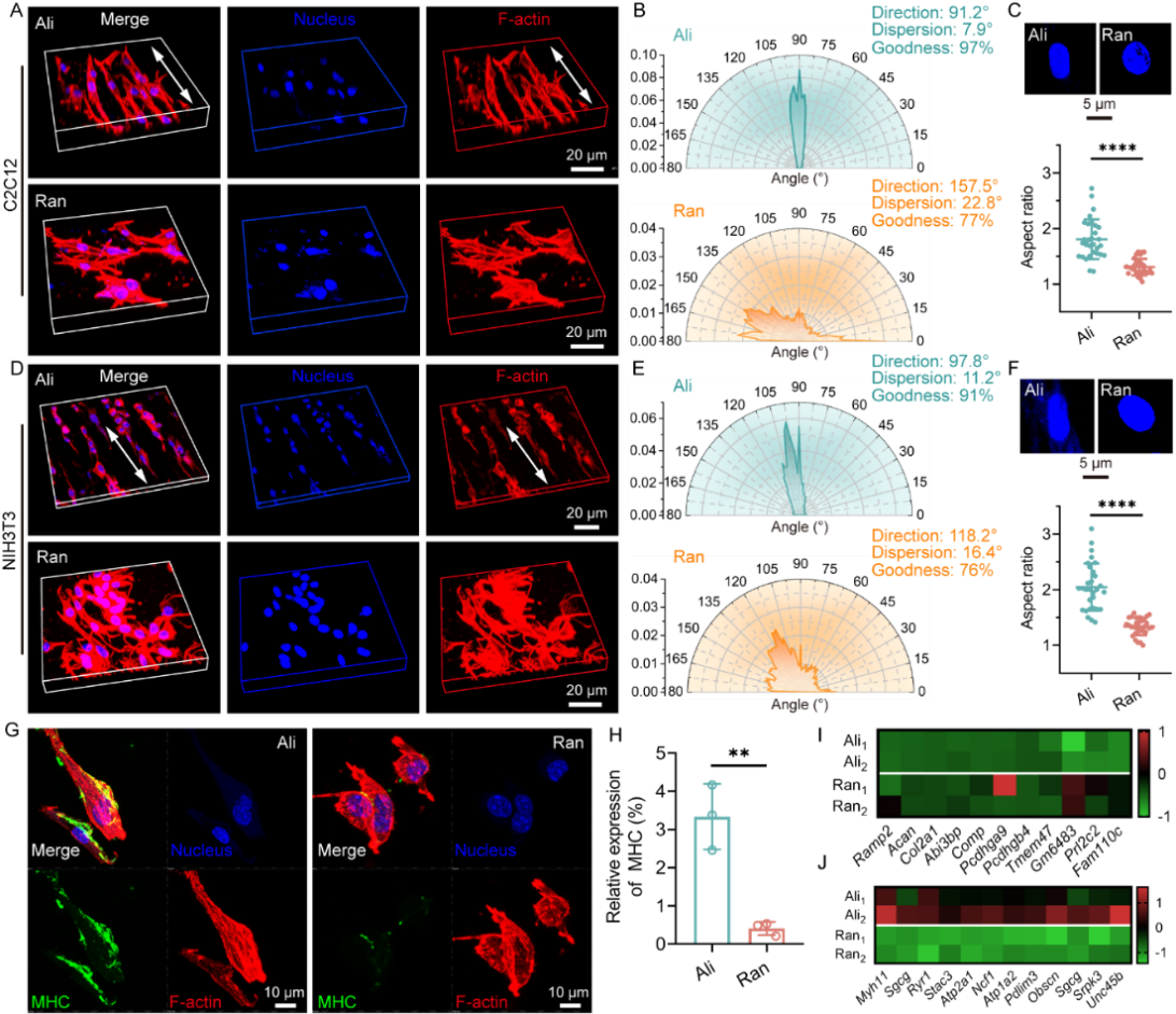 image (3).png
