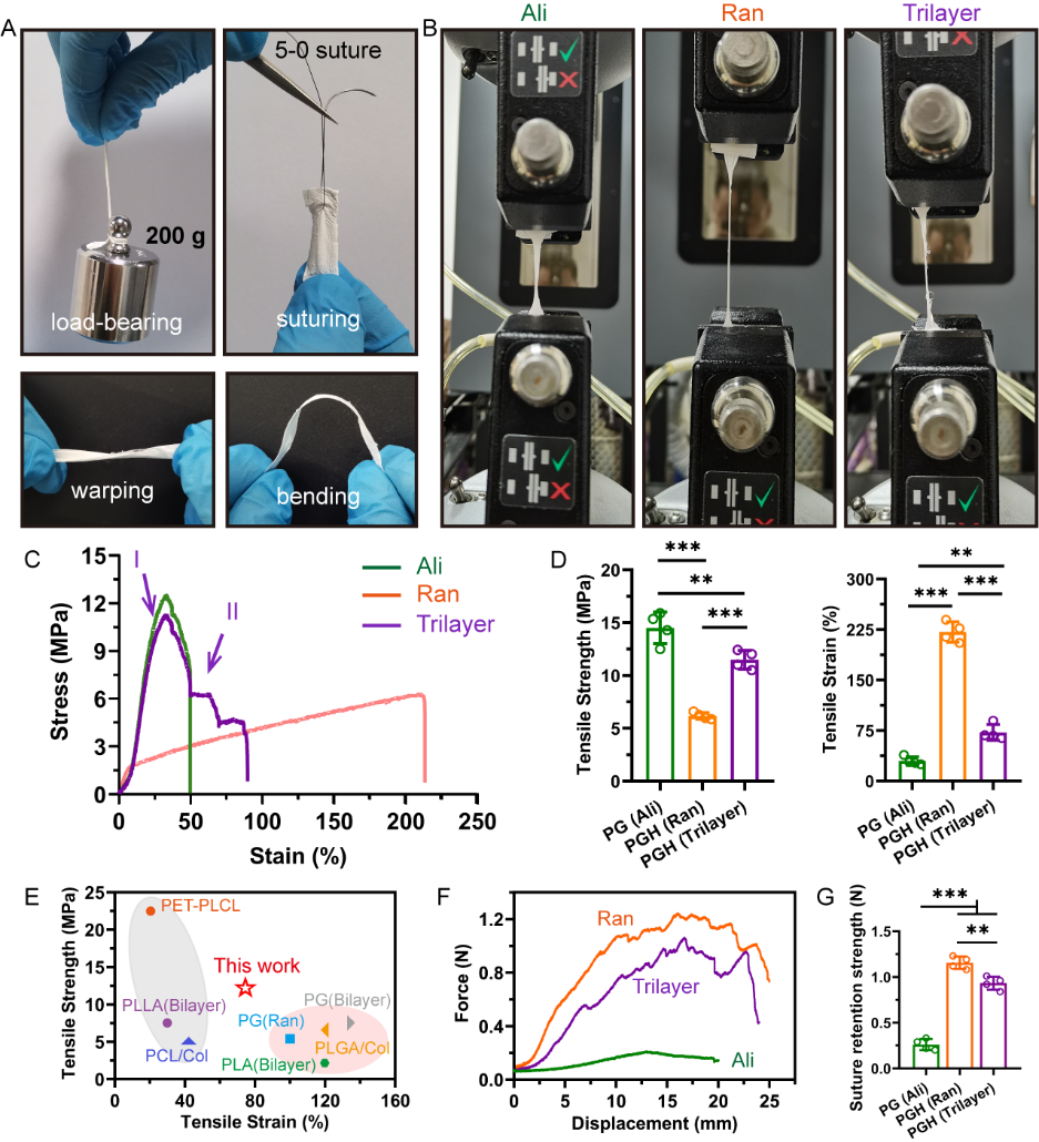 image (4).png