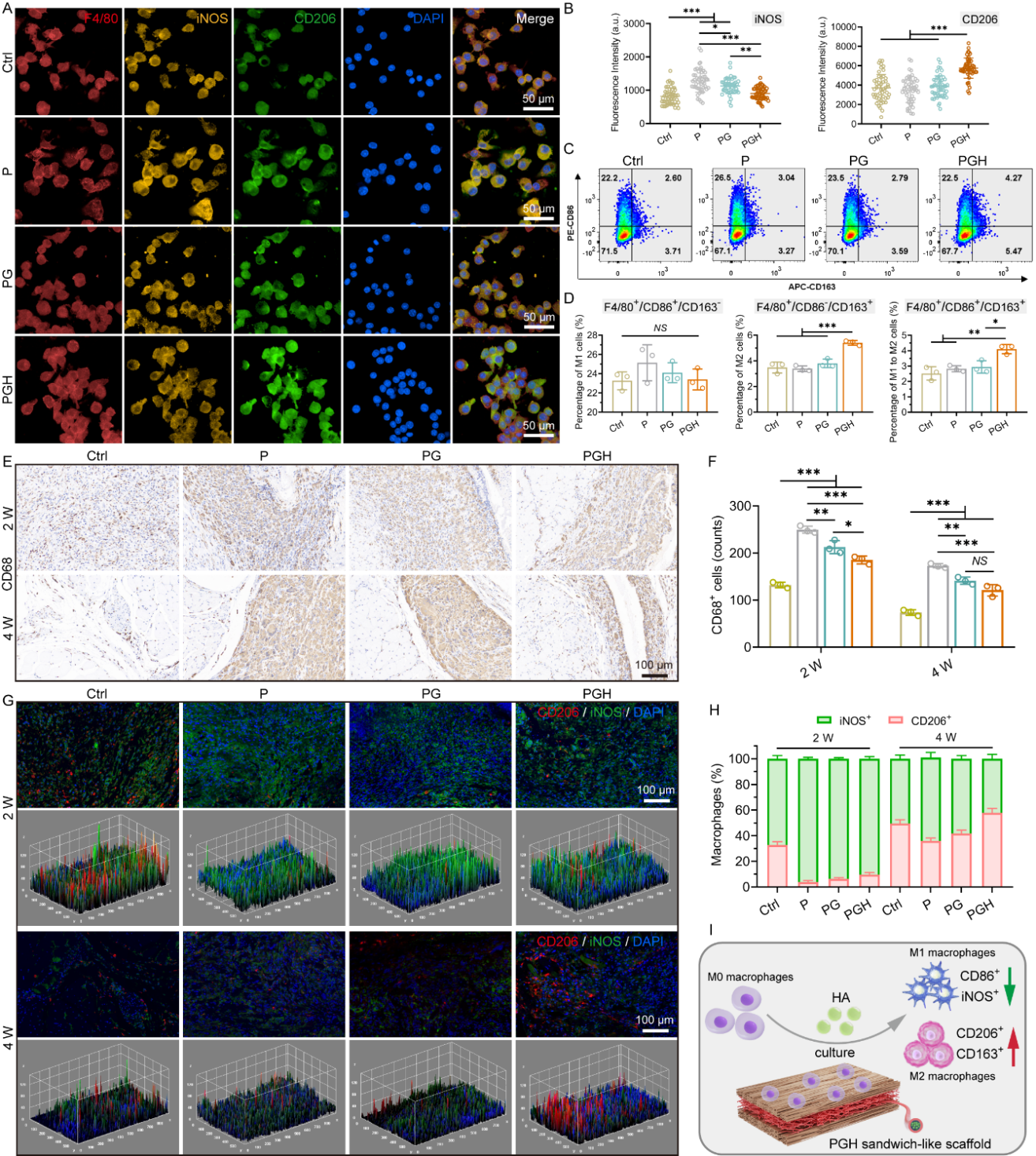 image (5).png
