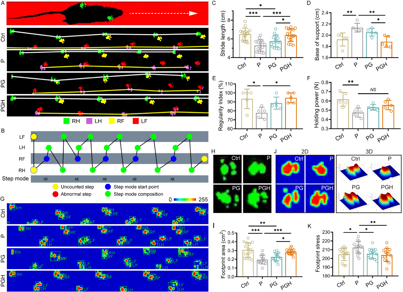 image (7).png