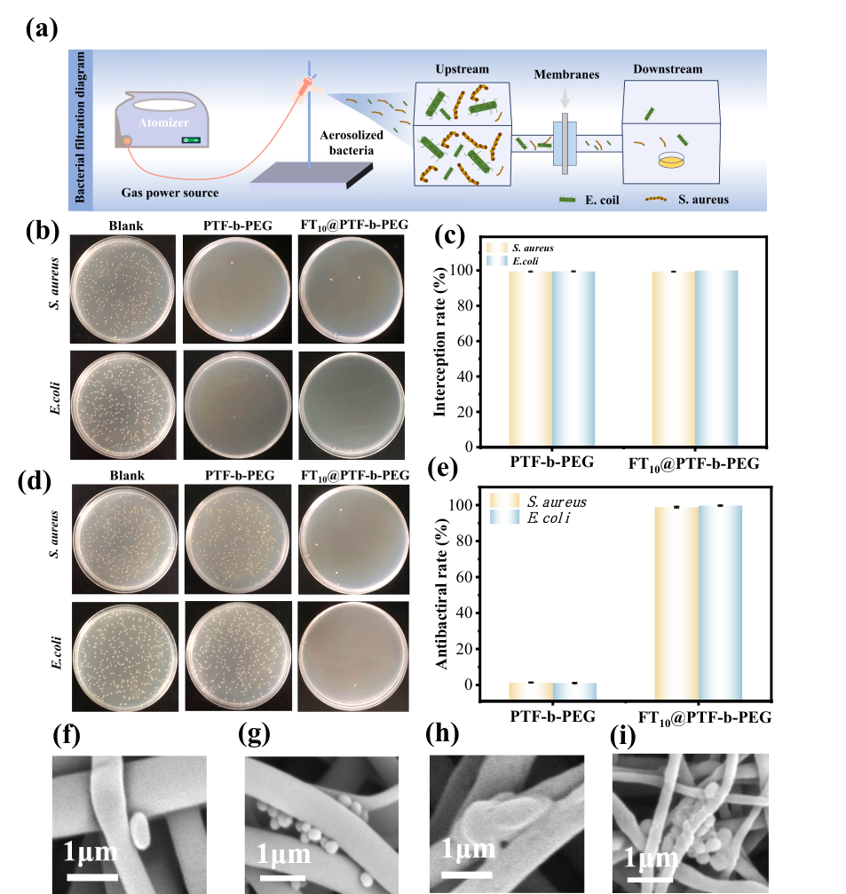 image (4).png