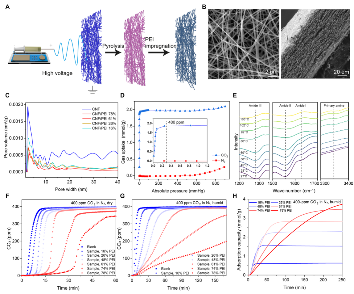 image (2).png image (2).png