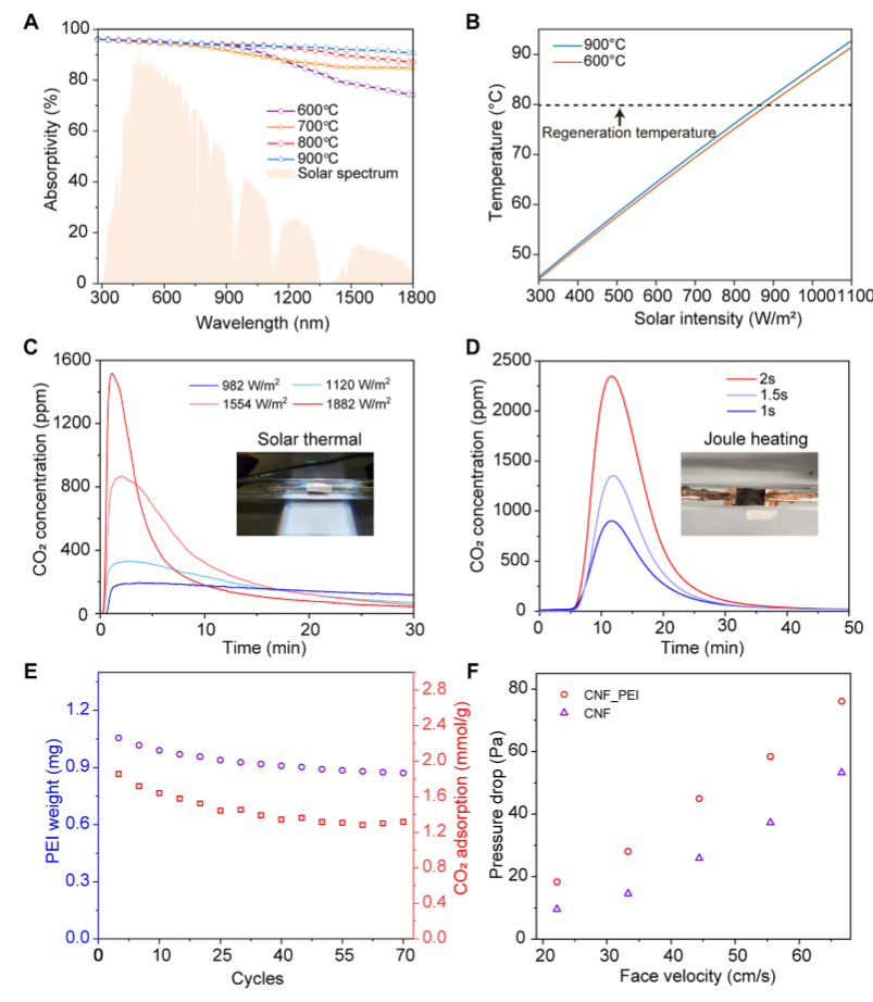 image (3).png image (3).png