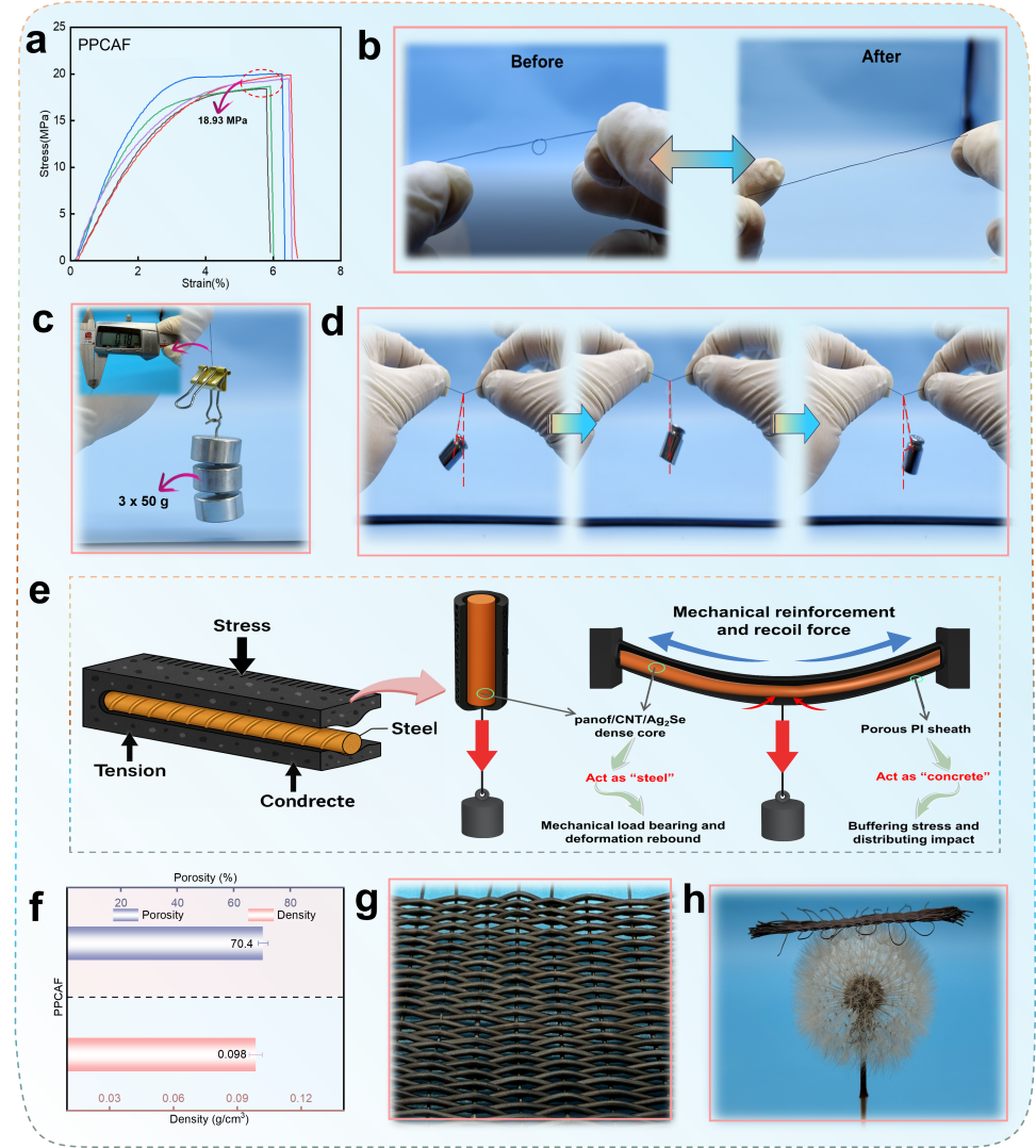 image (2).png image (2).png