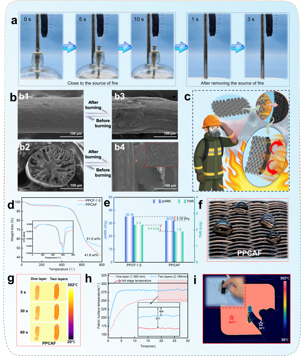 image (5).png image (5).png