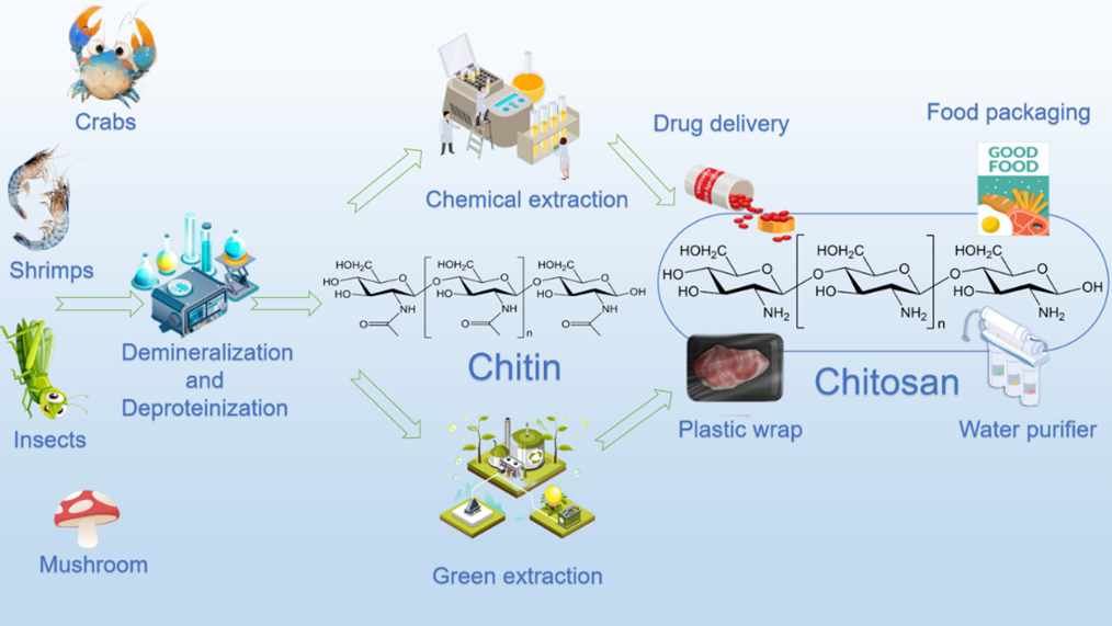 image (2).png image (2).png