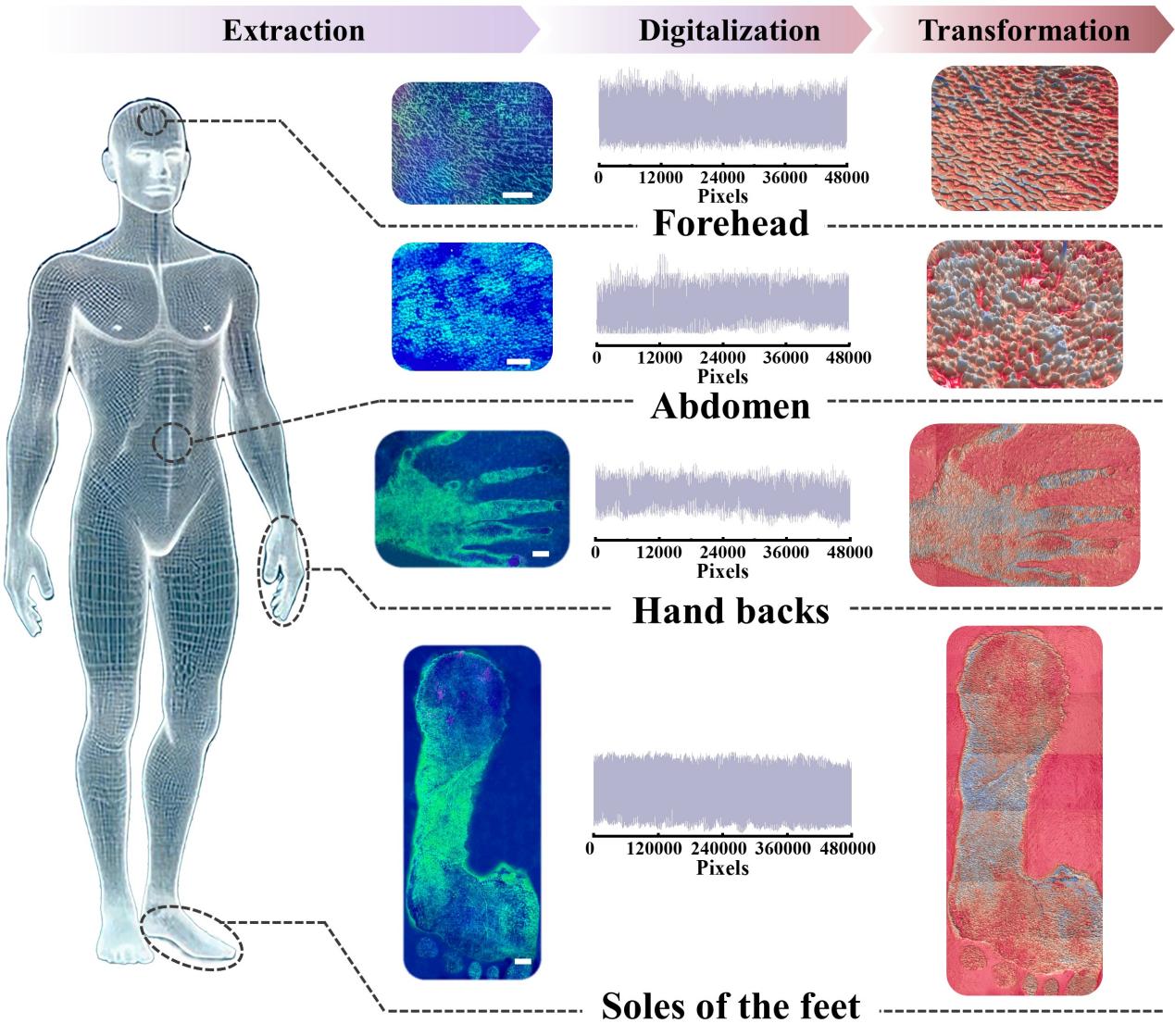 image (5).jpeg image (5).jpeg