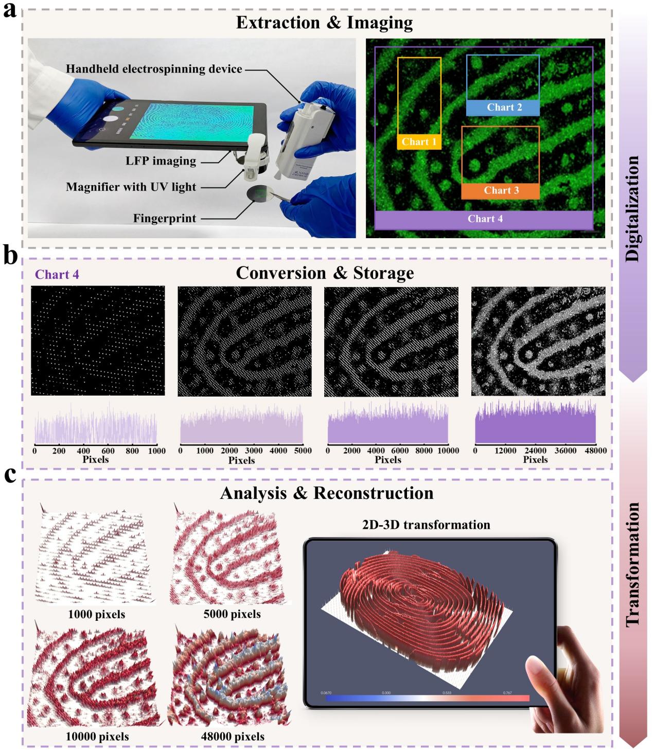 image (4).jpeg image (4).jpeg