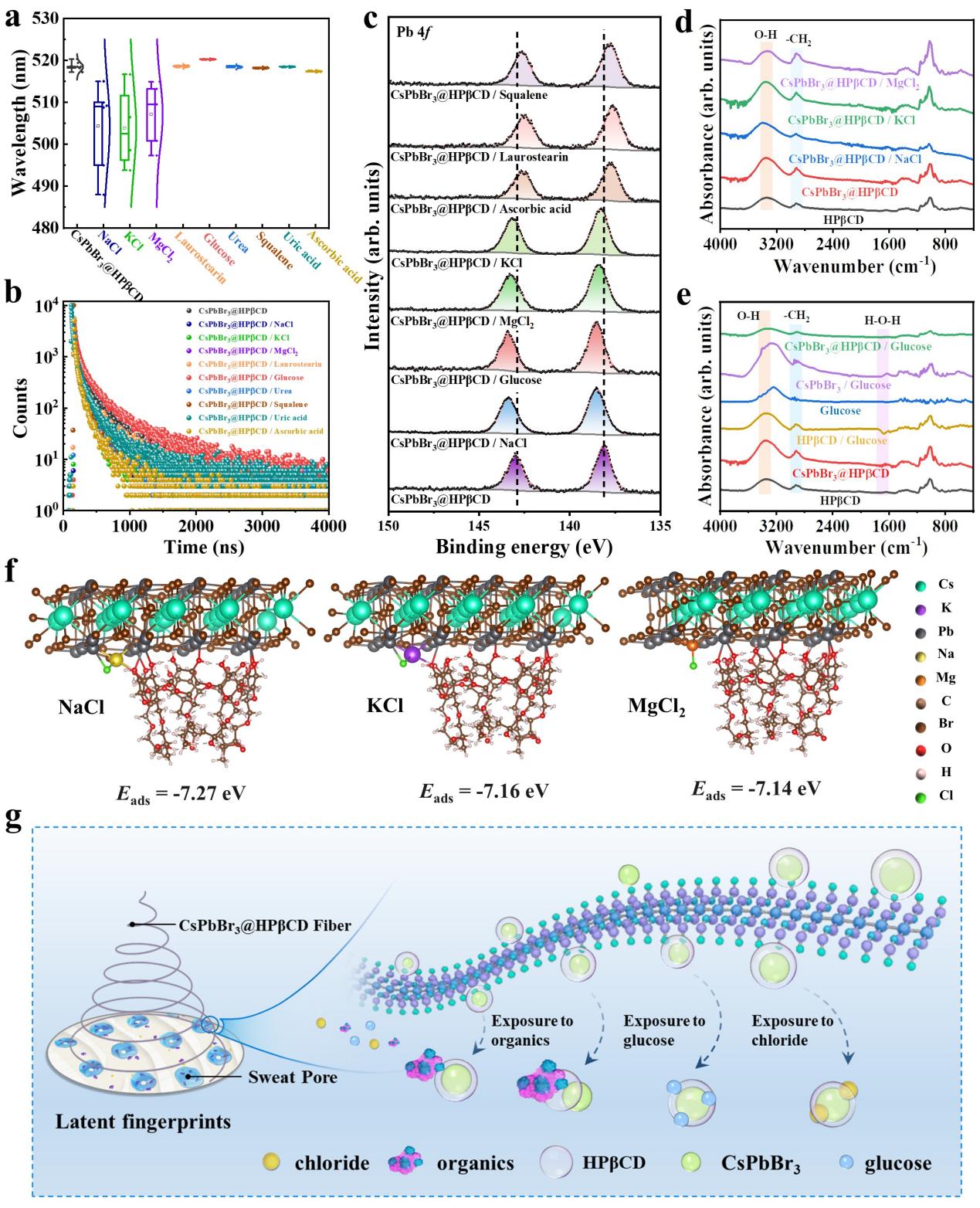 image (1).jpeg image (1).jpeg