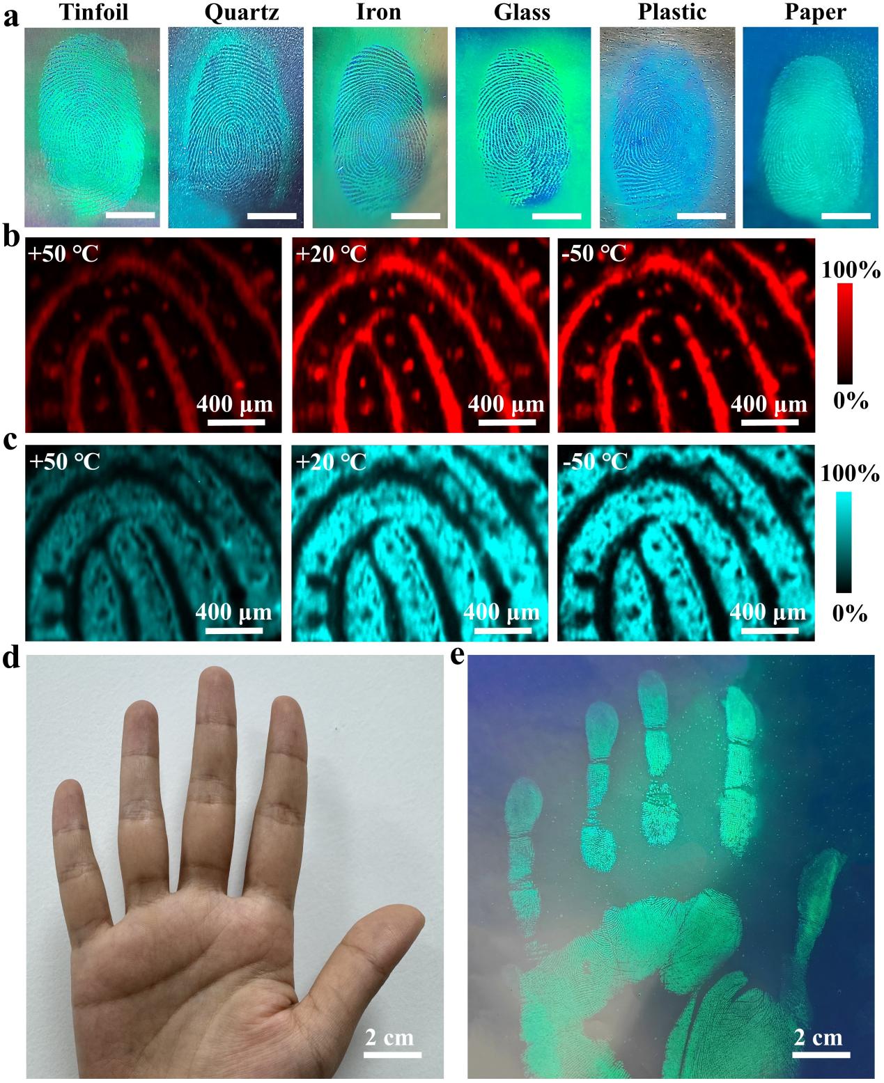 image (3).jpeg image (3).jpeg