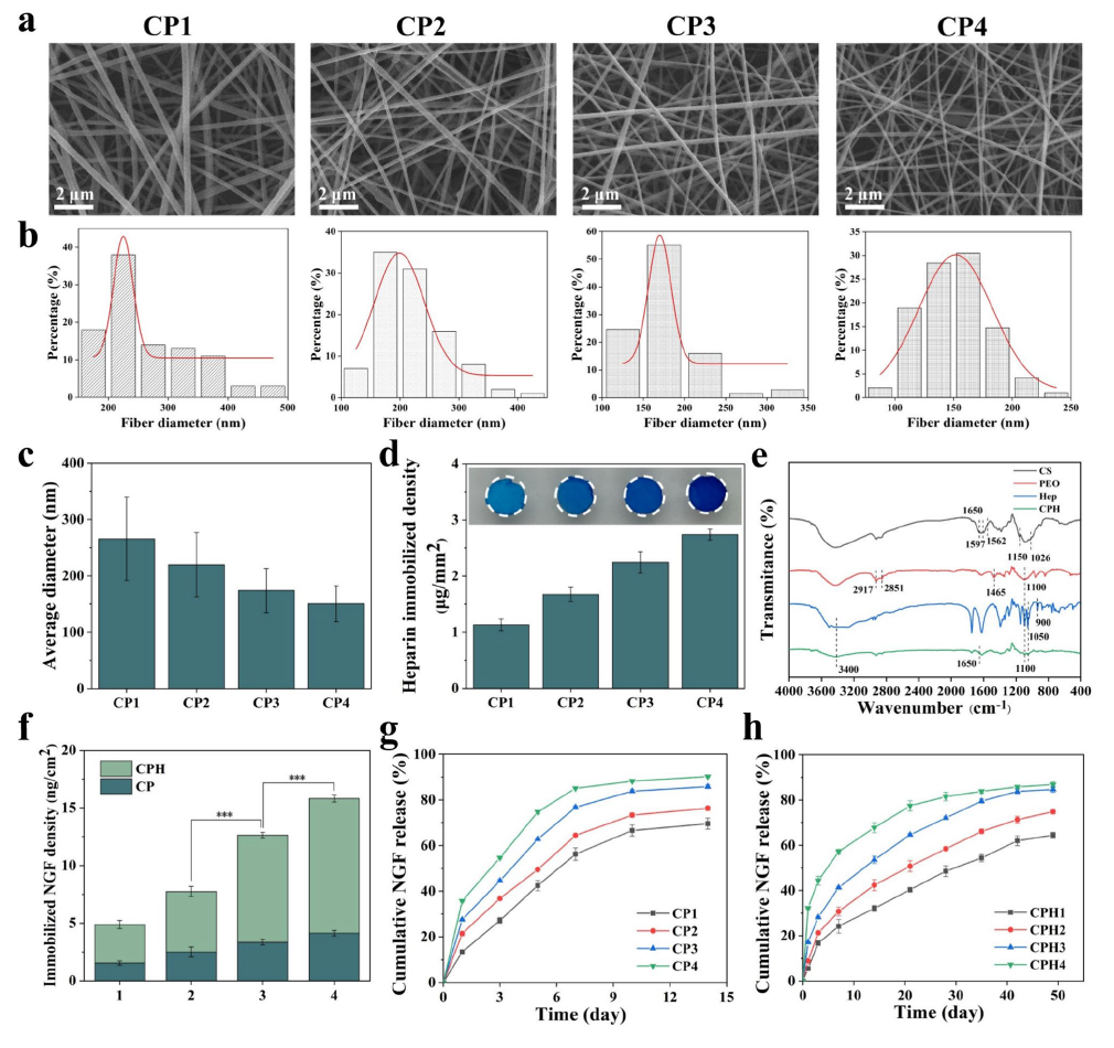 image (3).png image (3).png