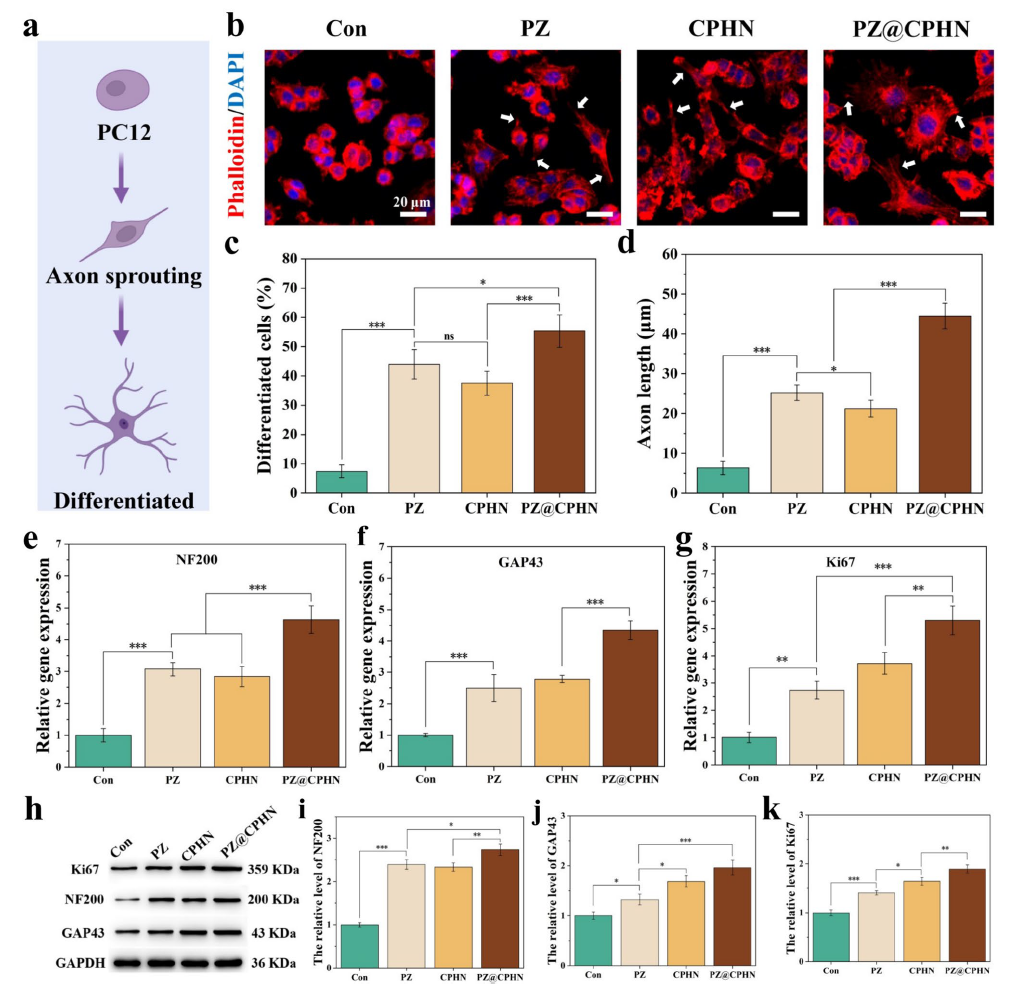 image (5).png image (5).png