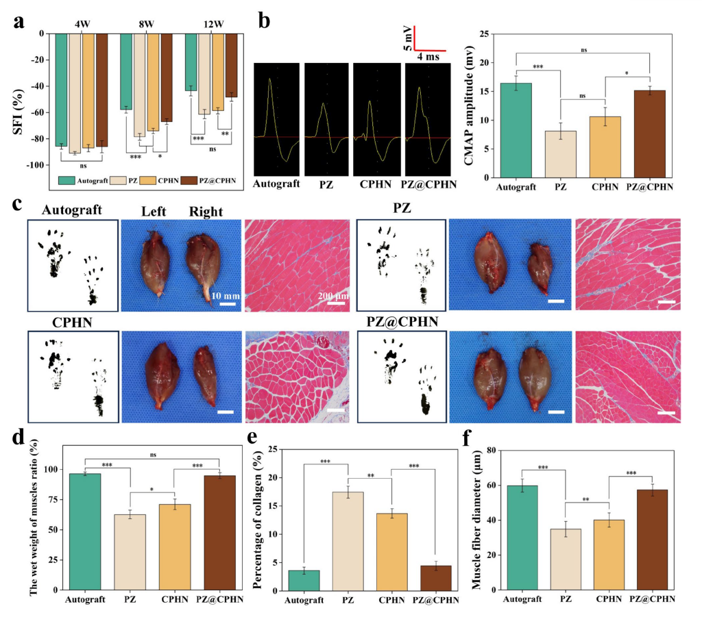 image (8).png image (8).png