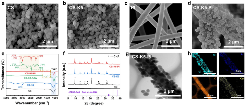 image (1).png image (1).png