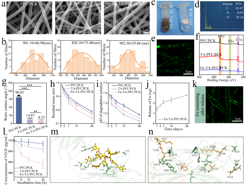 image (2).png image (2).png