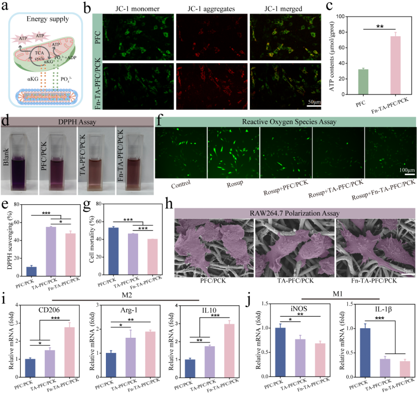 image (3).png image (3).png