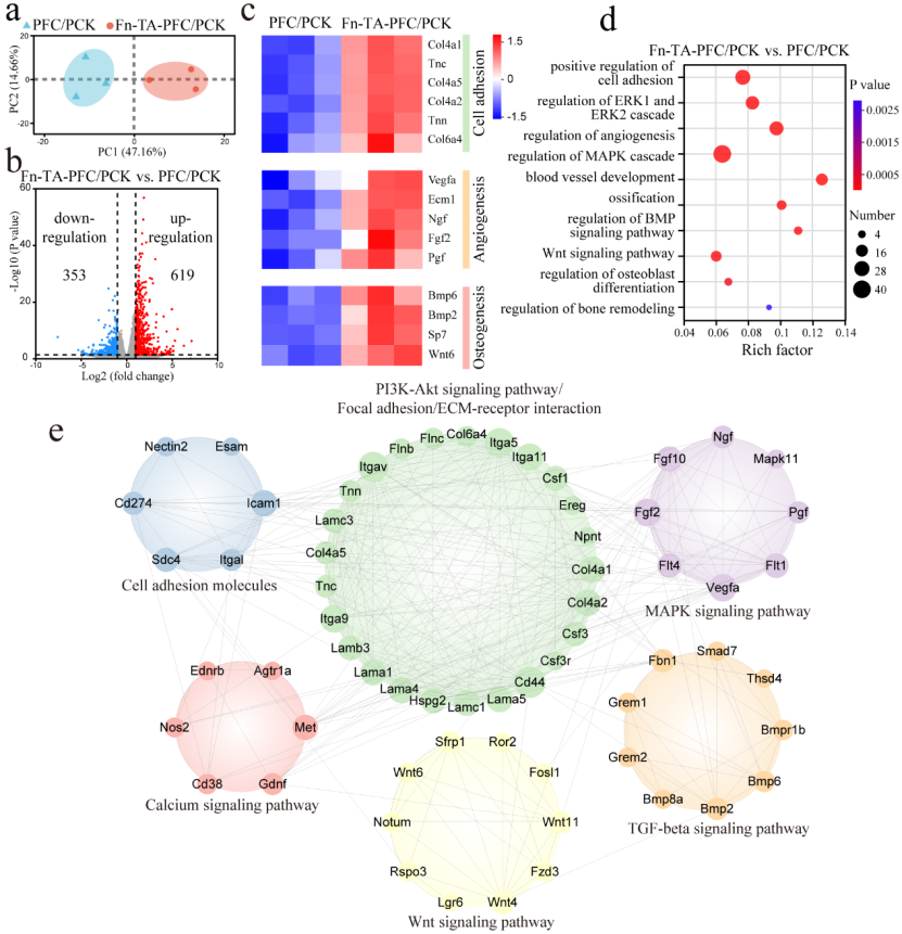 image (4).png image (4).png