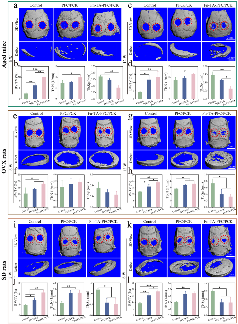 image (5).png image (5).png