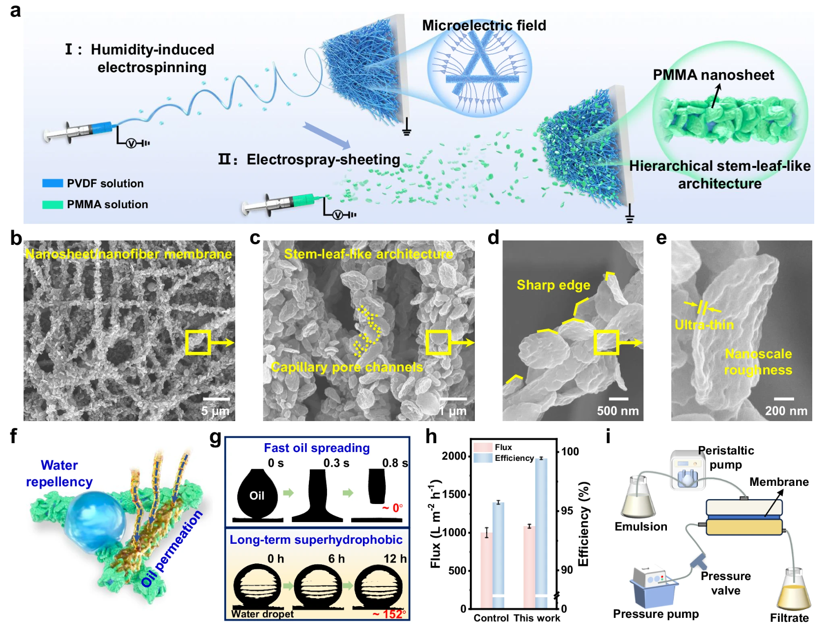 image (1).png image (1).png