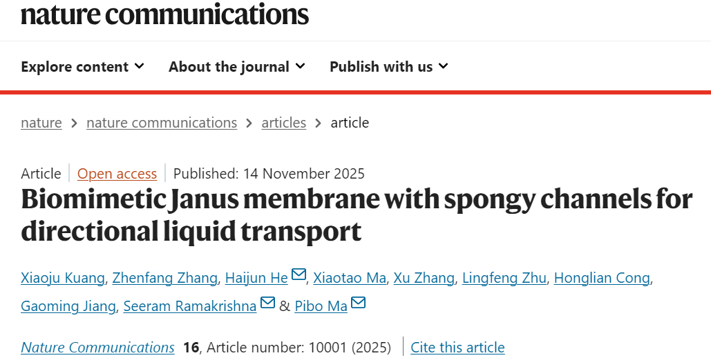 image (2).png image (2).png