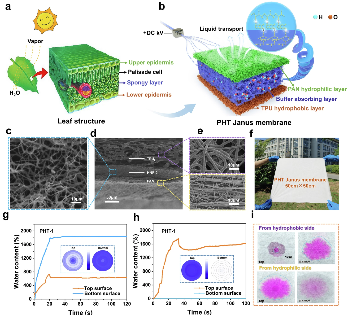 image (3).png image (3).png