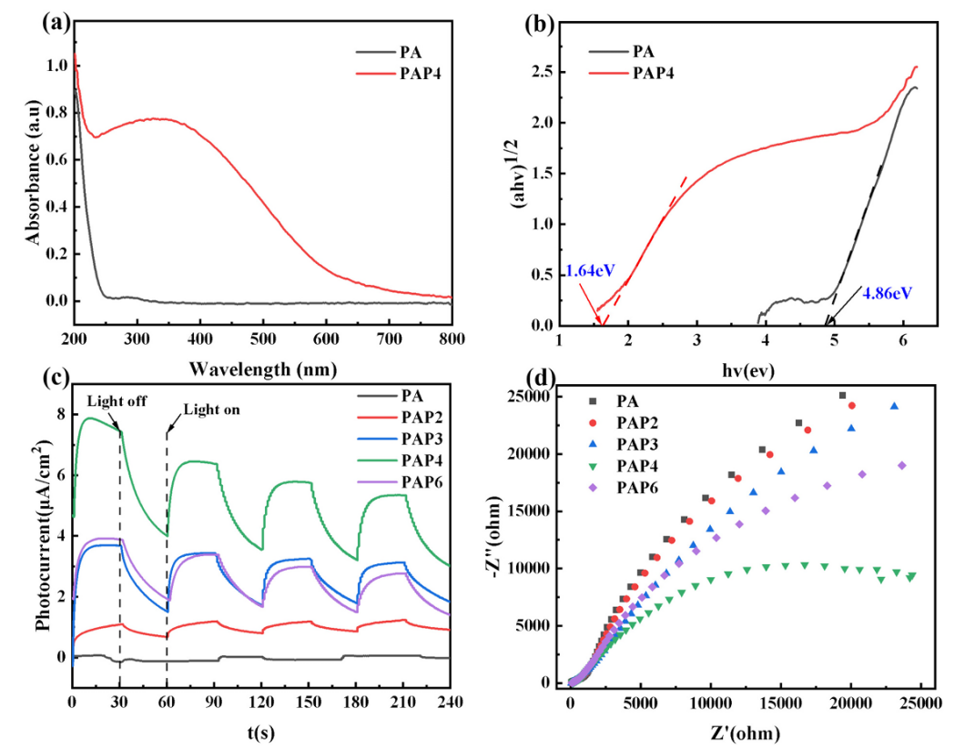 image (3).png image (3).png