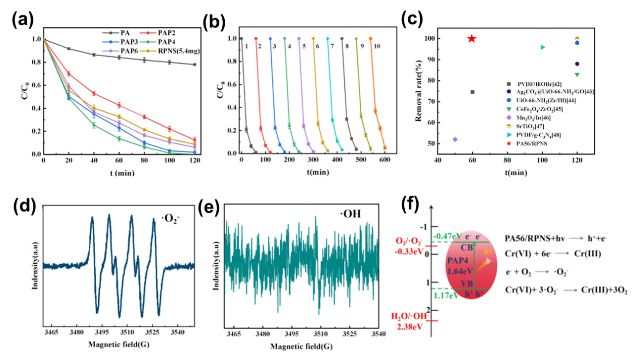 image (5).png image (5).png