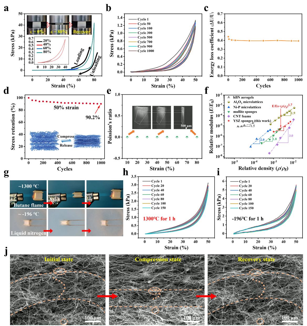 image (3).png image (3).png