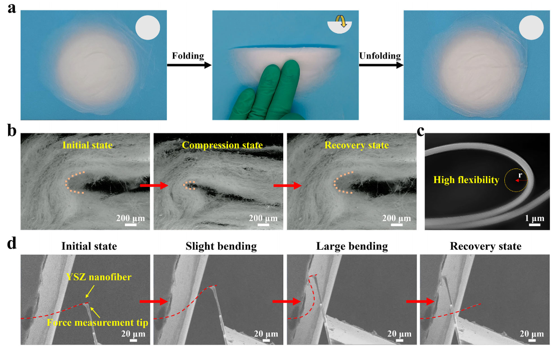 image (4).png image (4).png