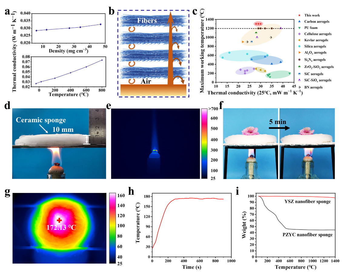 image (5).png image (5).png