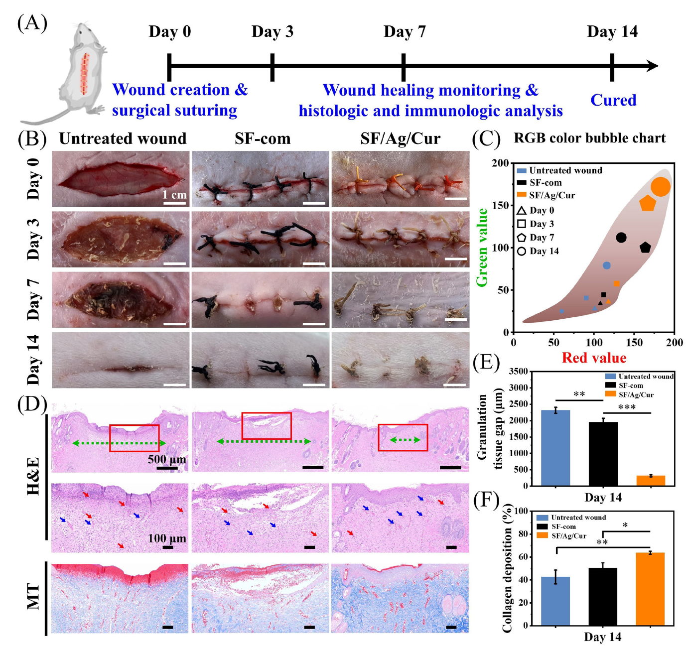 image (6).png image (6).png