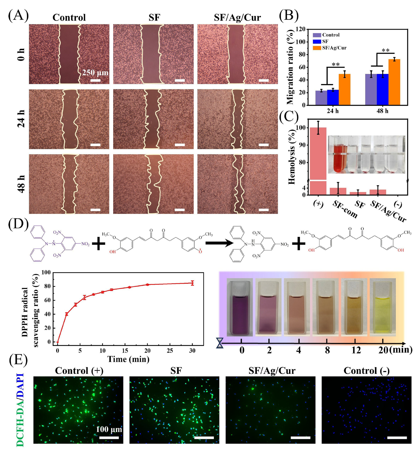 image (5).png image (5).png