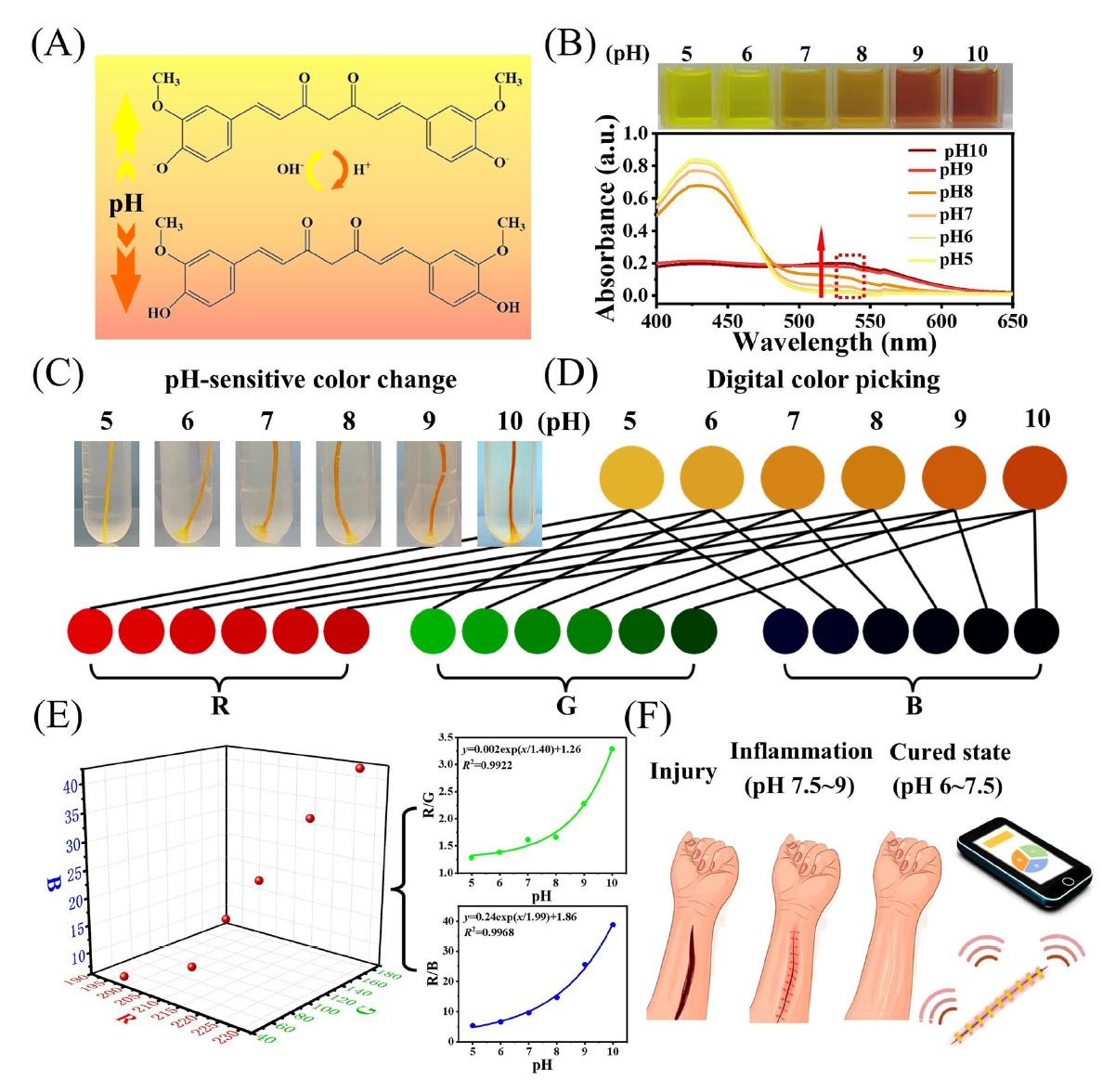 image (3).png image (3).png