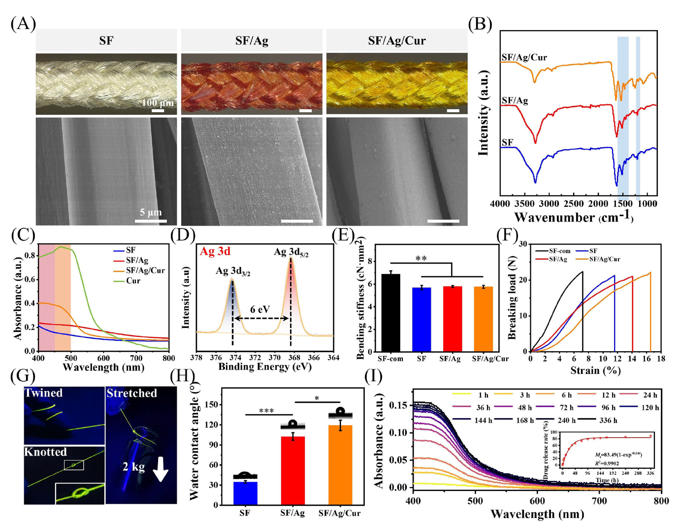 image (2).png image (2).png