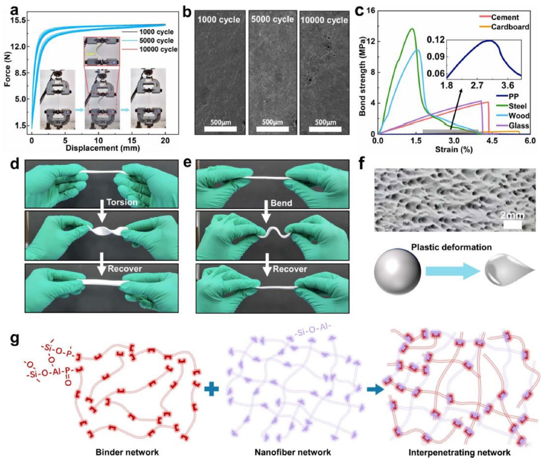 image (3).png image (3).png