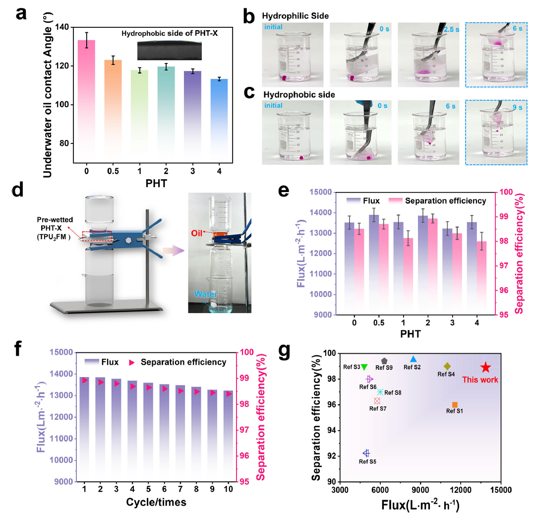 image (5).png image (5).png