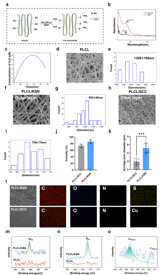 image (2).png image (2).png