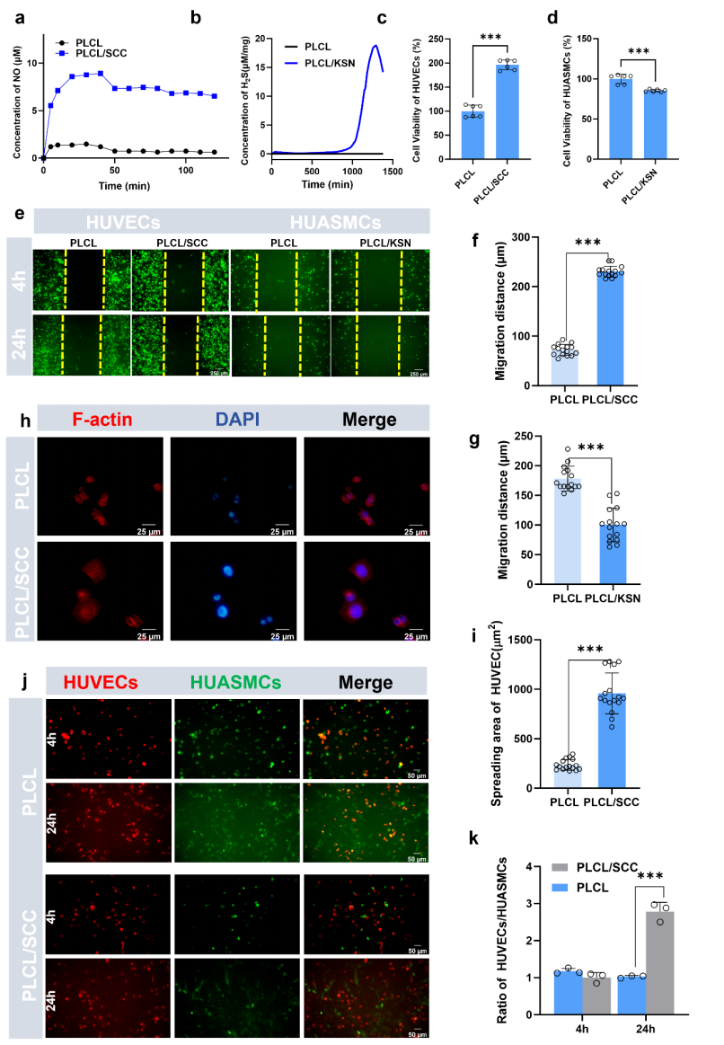 image (3).png image (3).png