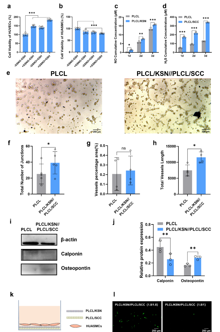 image (4).png image (4).png