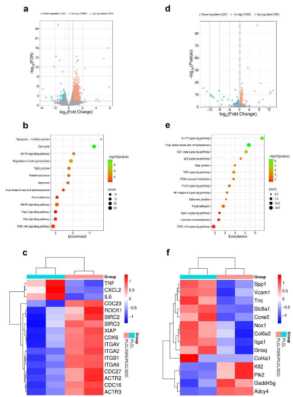 image (5).png image (5).png