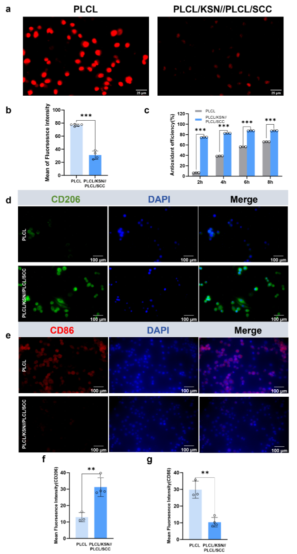 image (7).png image (7).png