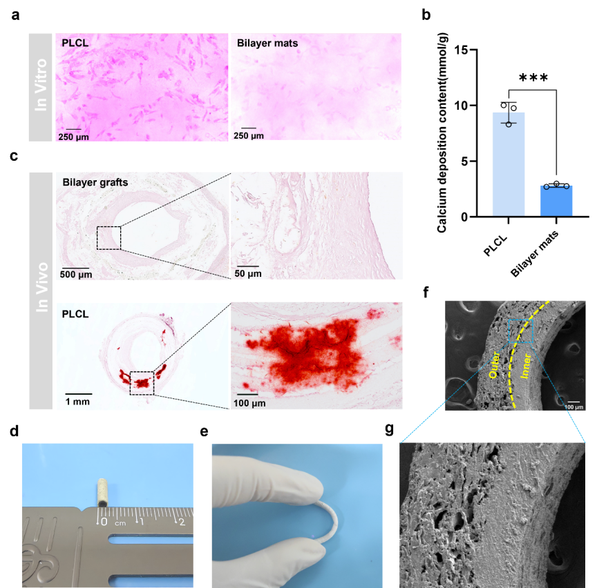 image (8).png image (8).png