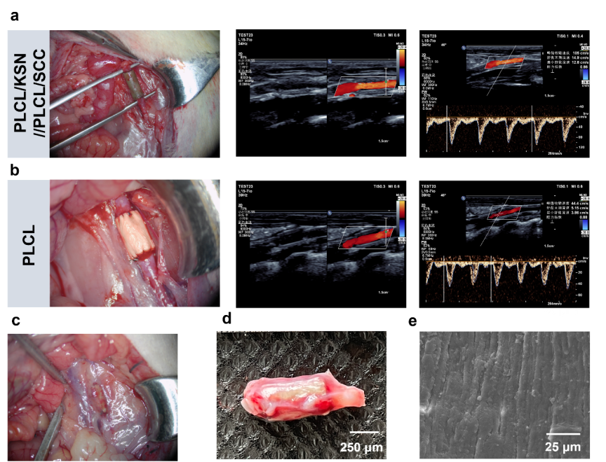 image (9).png image (9).png