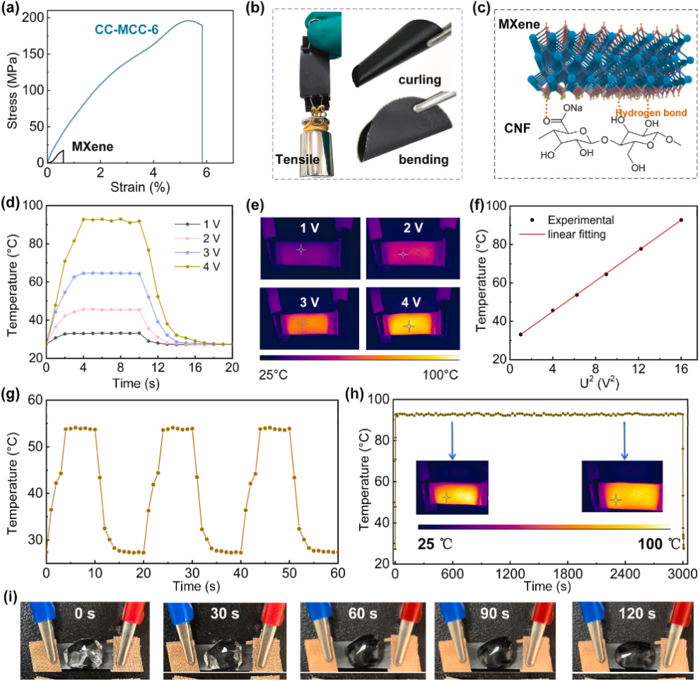 image (3).png image (3).png