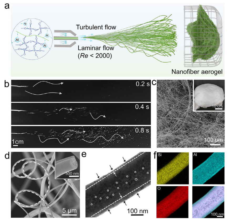 image (2).png image (2).png