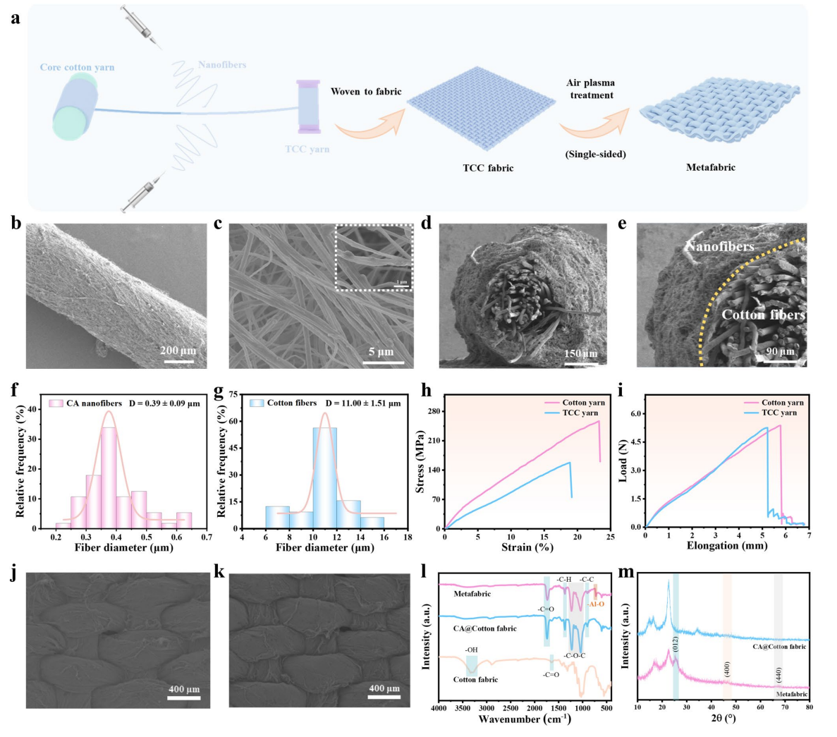 image (2).png image (2).png