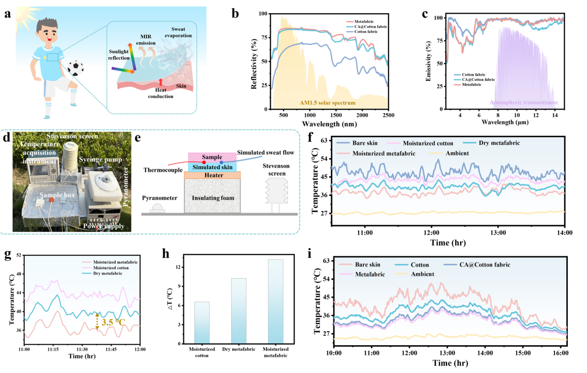 image (5).png image (5).png