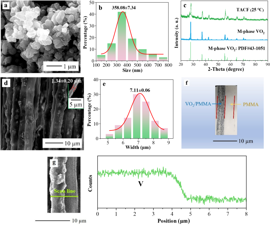 image (1).png image (1).png