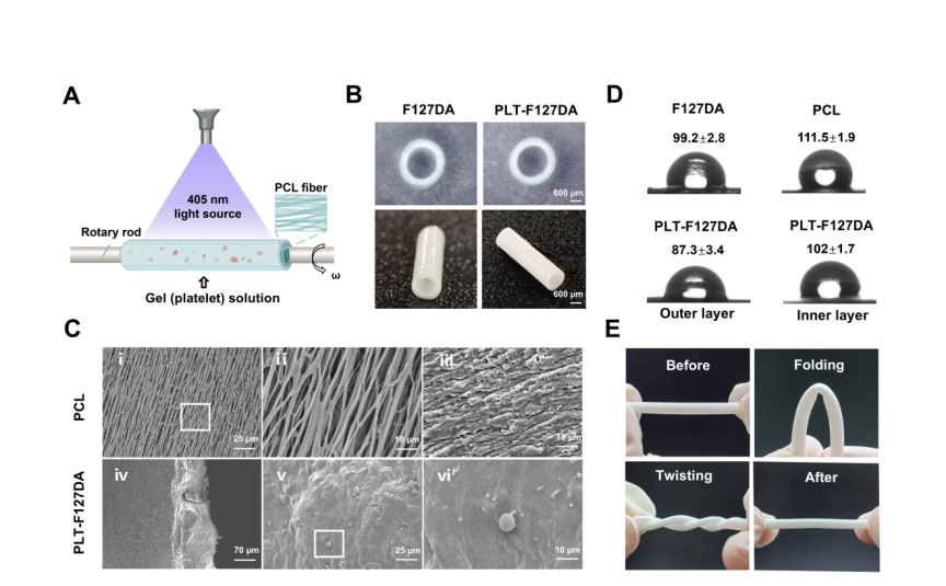 image (2).png image (2).png